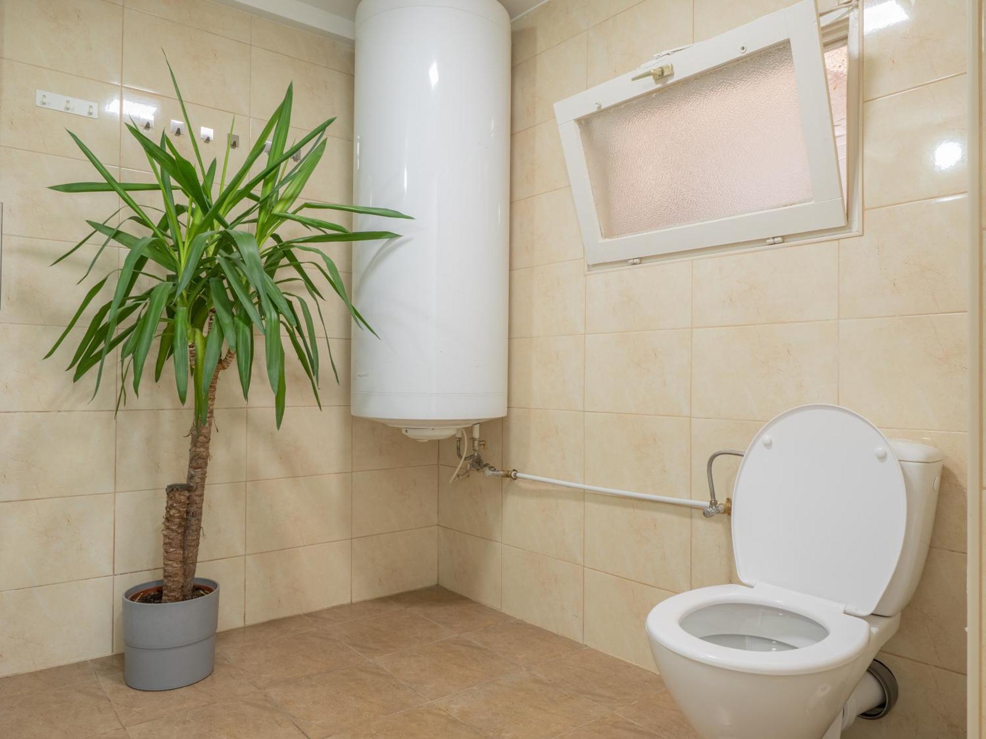 Elizabeth Appartement